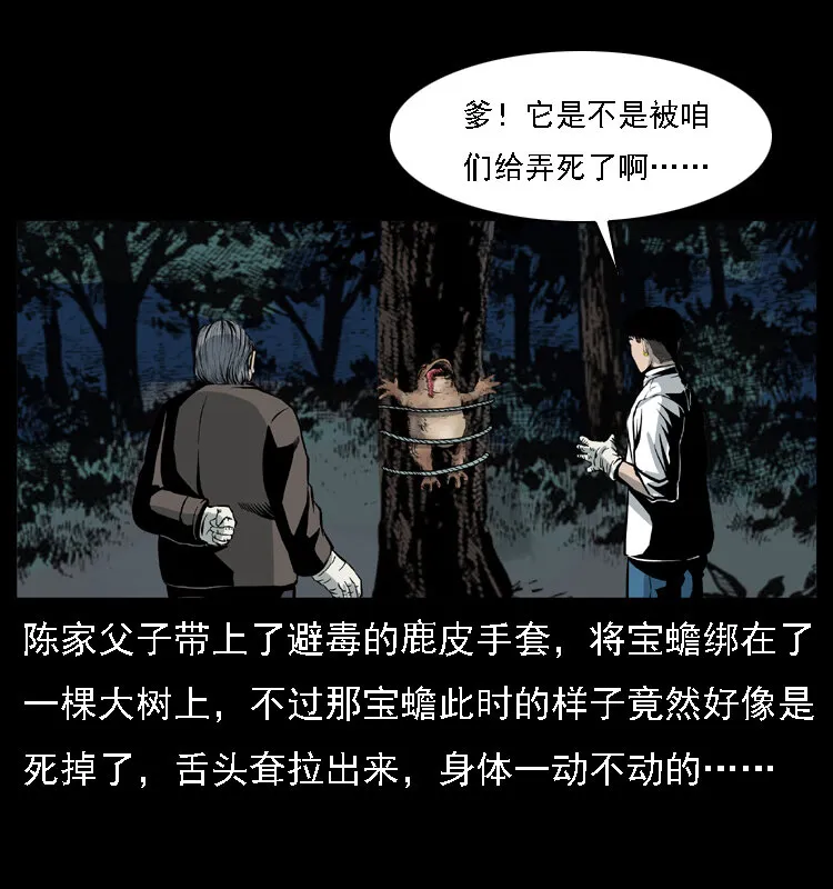 024 聚宝蟾 第37页