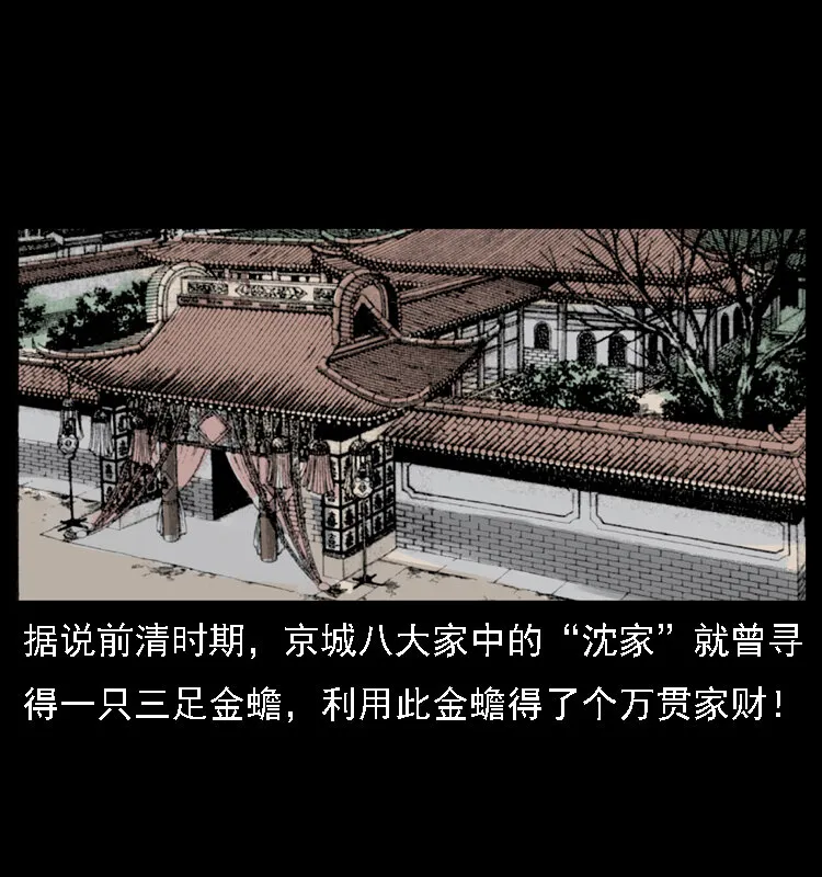 024 聚宝蟾 第57页