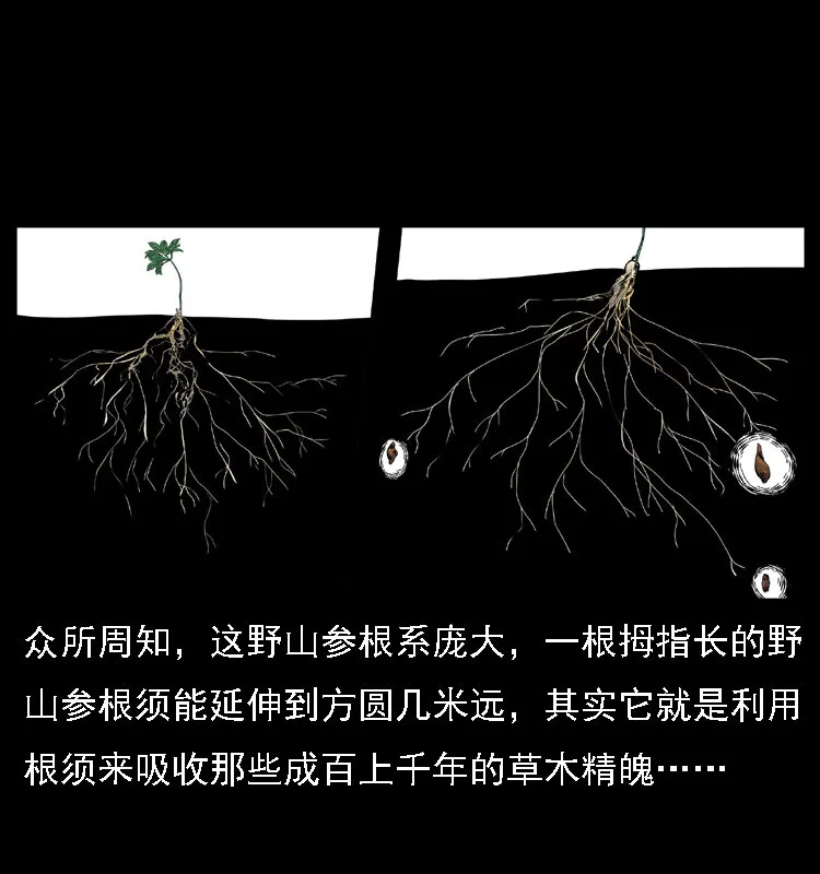 027 刘瞎子憋宝 第14页