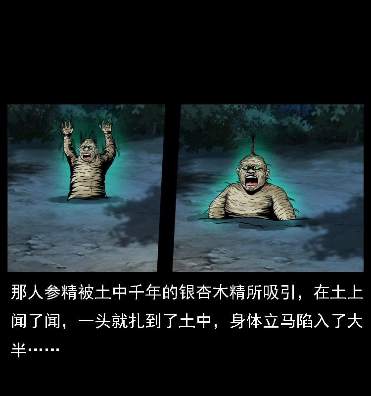 027 刘瞎子憋宝 第21页