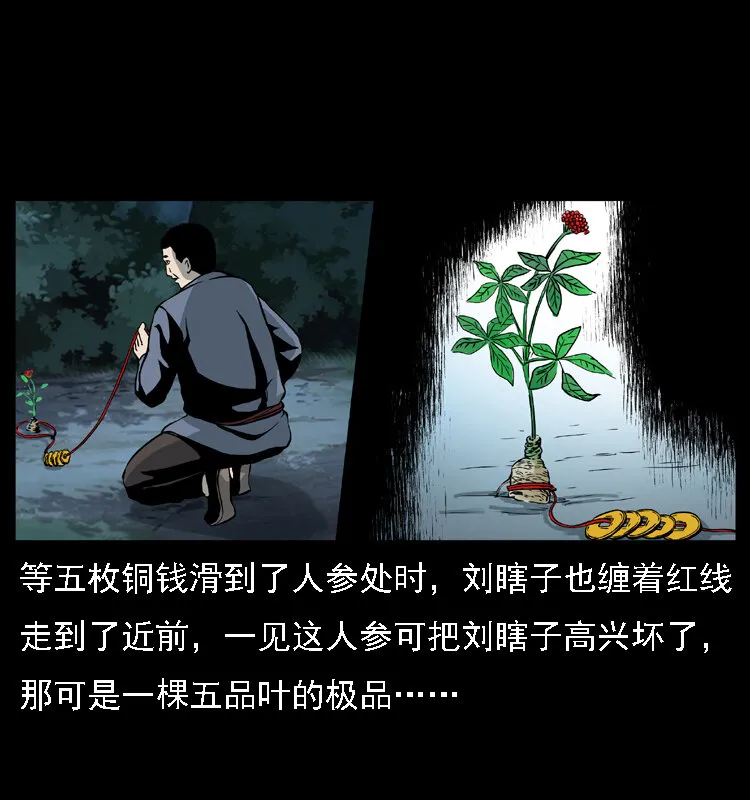 027 刘瞎子憋宝 第24页