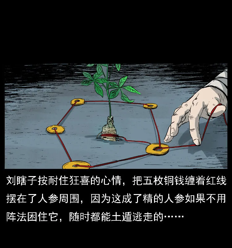 027 刘瞎子憋宝 第25页