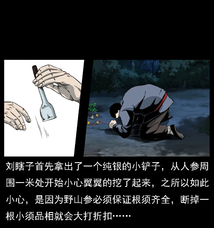027 刘瞎子憋宝 第27页