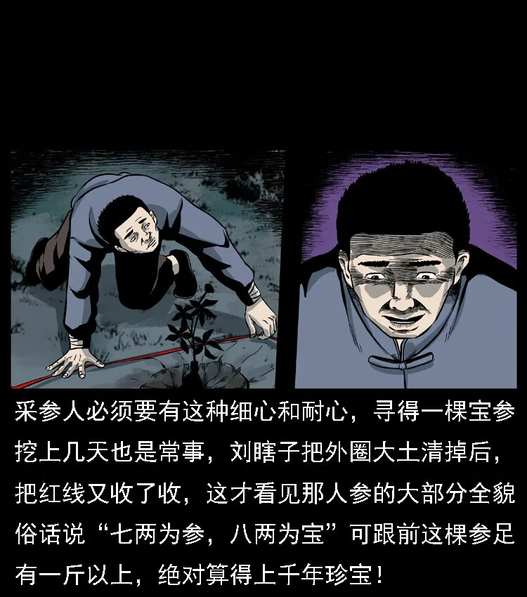 027 刘瞎子憋宝 第28页