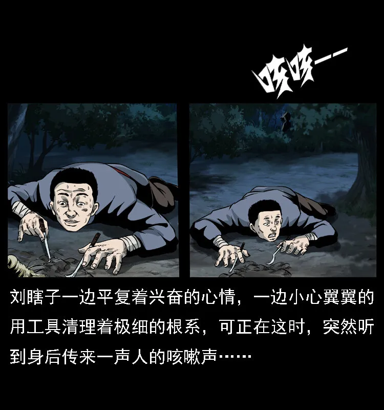 027 刘瞎子憋宝 第29页