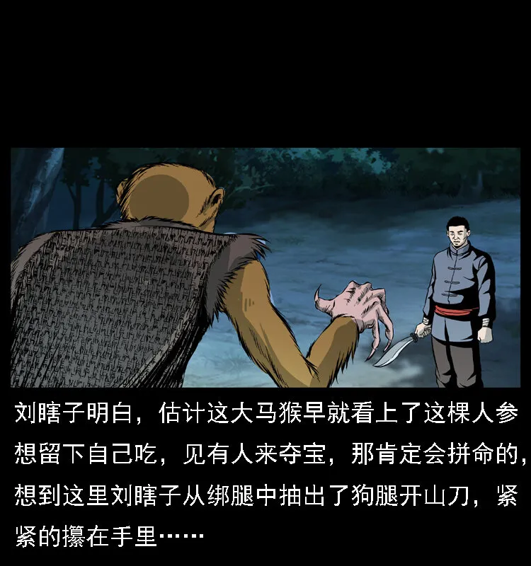 027 刘瞎子憋宝 第37页