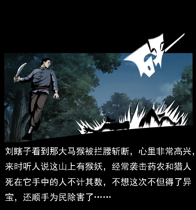 027 刘瞎子憋宝 第41页