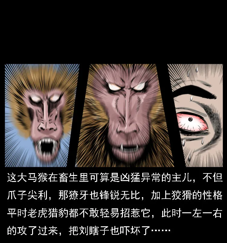 027 刘瞎子憋宝 第47页