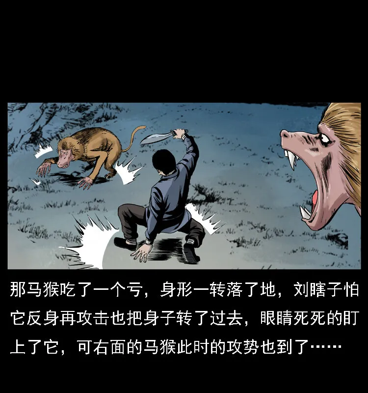027 刘瞎子憋宝 第49页