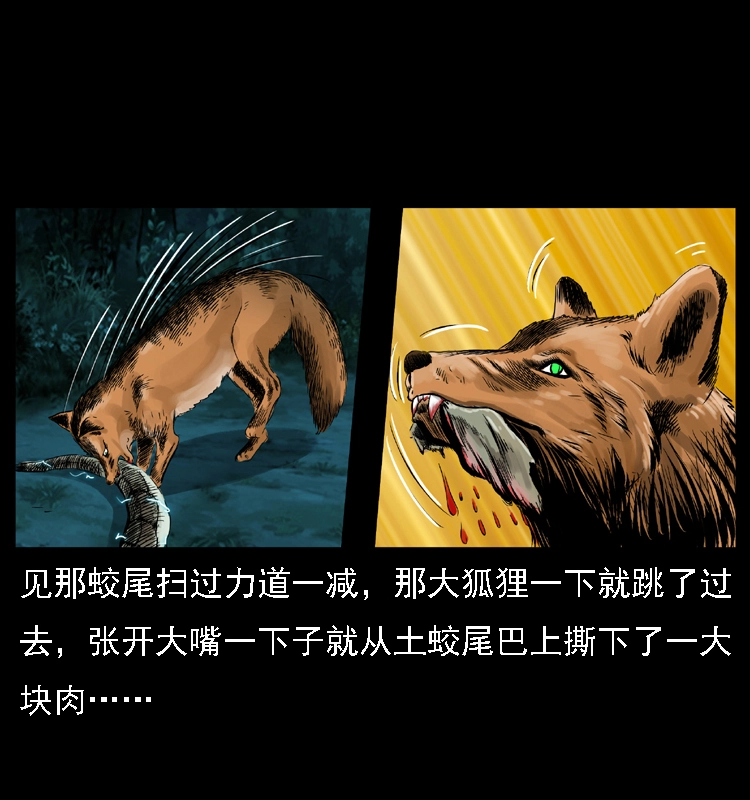 029 斗土蛟 第39页