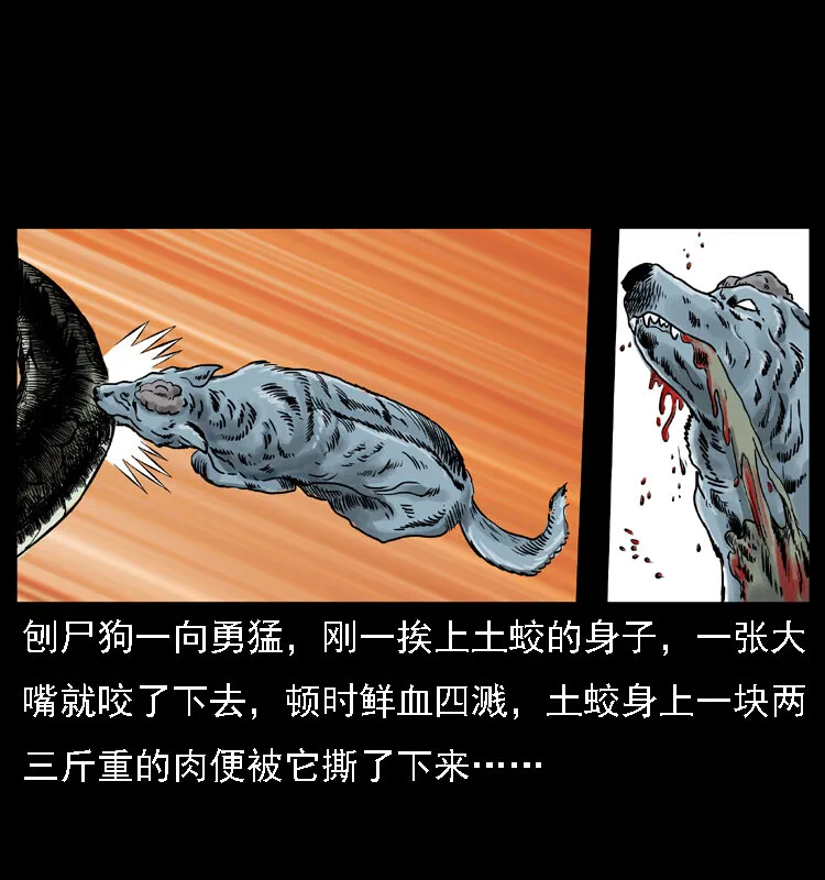 029 斗土蛟 第47页