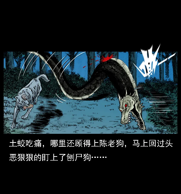 029 斗土蛟 第48页