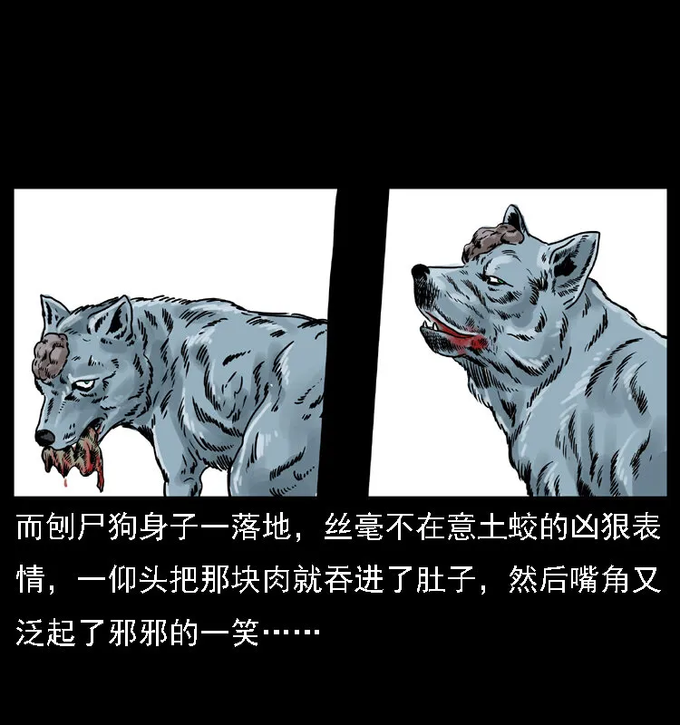 029 斗土蛟 第49页