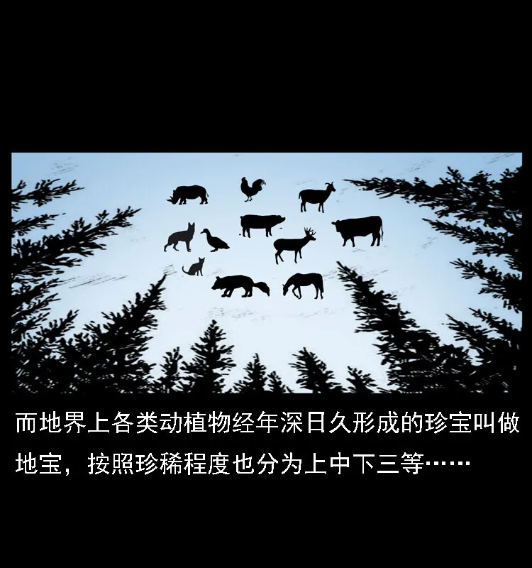 028 山经 第25页