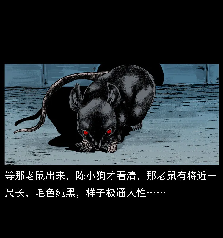 028 山经 第55页