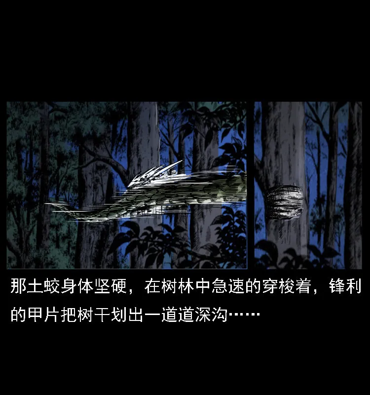 030 斗土蛟2 第11页