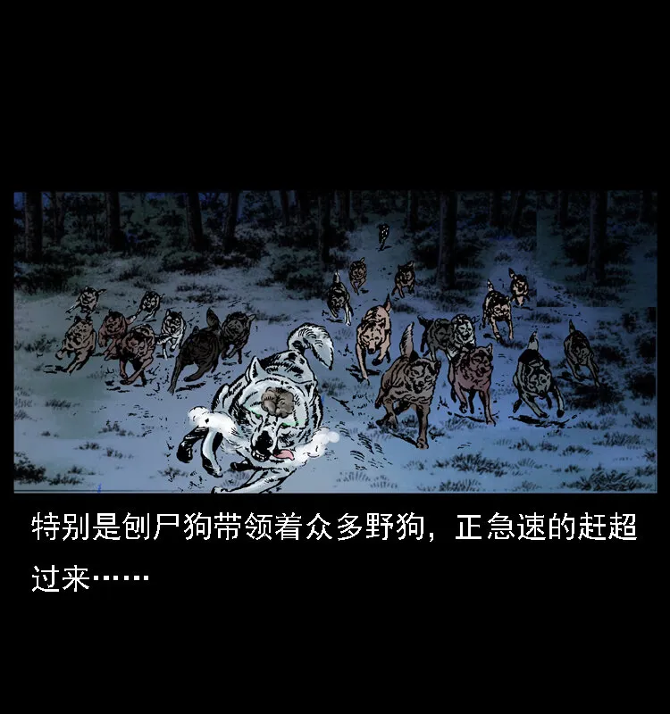 030 斗土蛟2 第13页