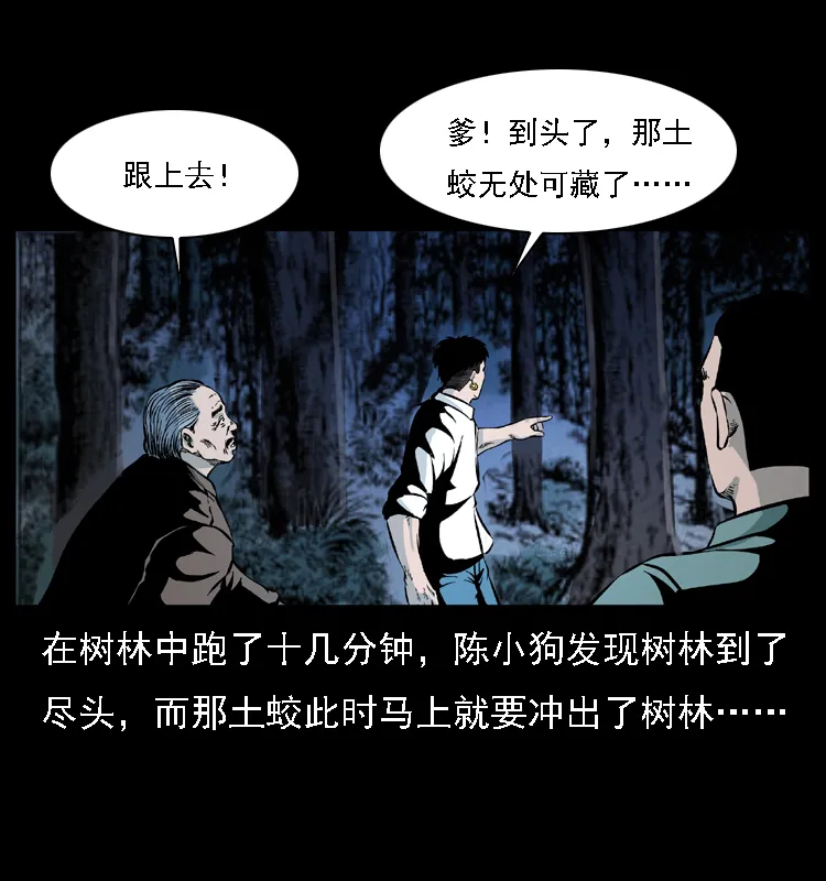 030 斗土蛟2 第15页