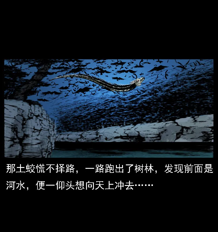 030 斗土蛟2 第17页