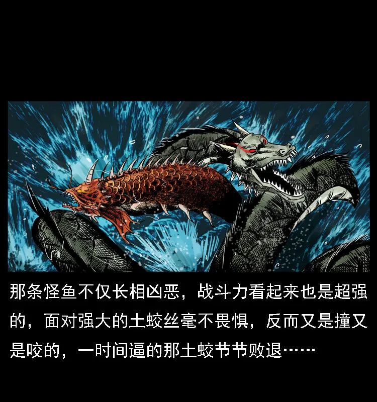 030 斗土蛟2 第33页