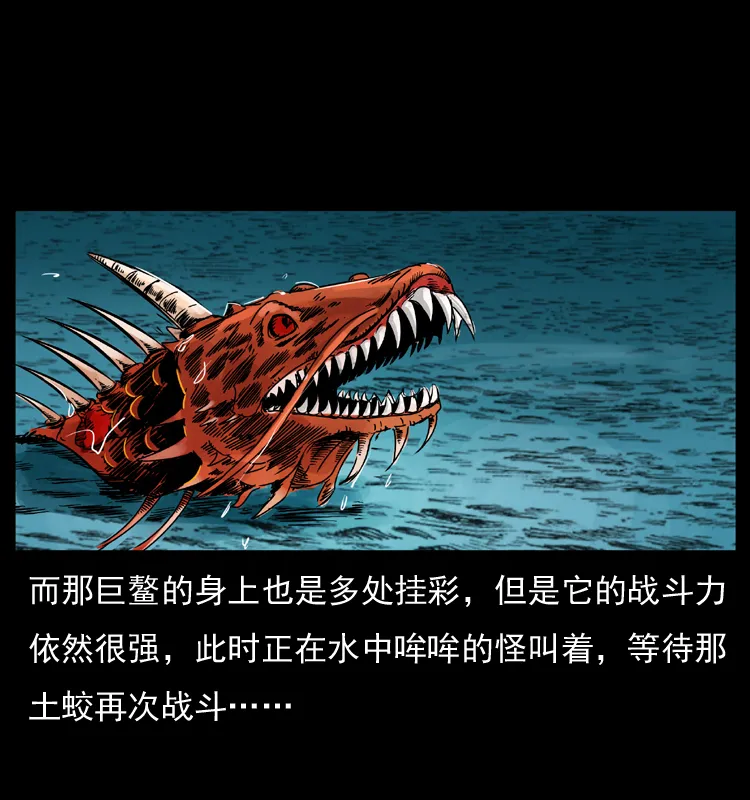 030 斗土蛟2 第47页