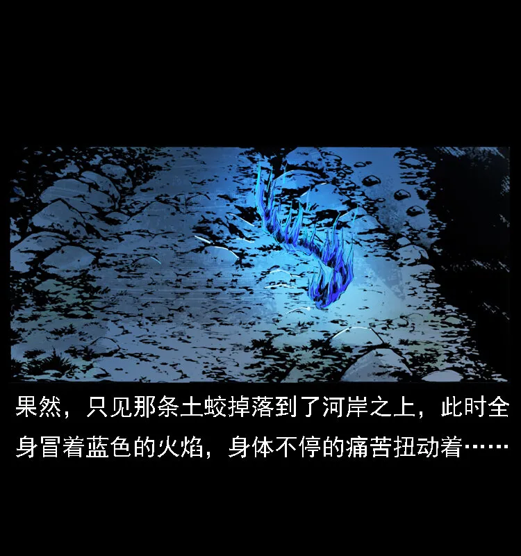 030 斗土蛟2 第64页