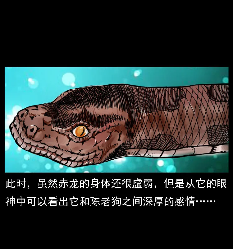 031 斗土蛟3 第48页