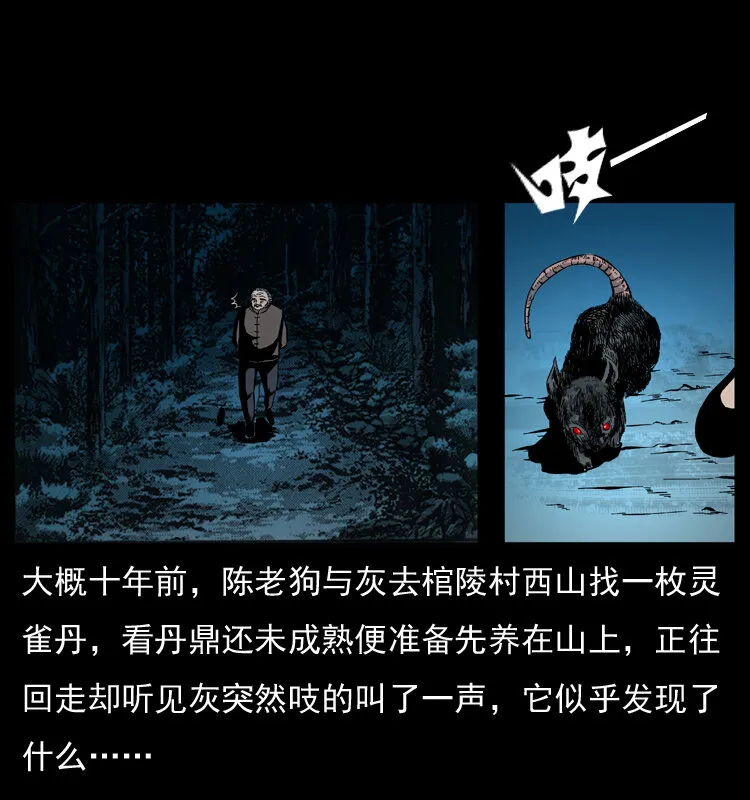 034 青铜棺木 第8页