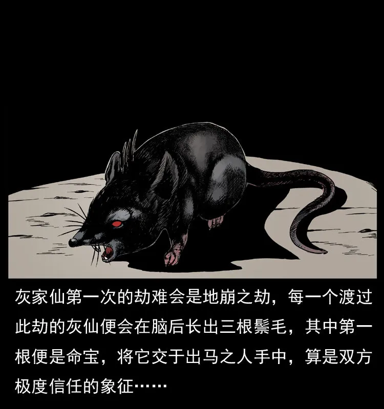 035 陈小狗出马 第12页