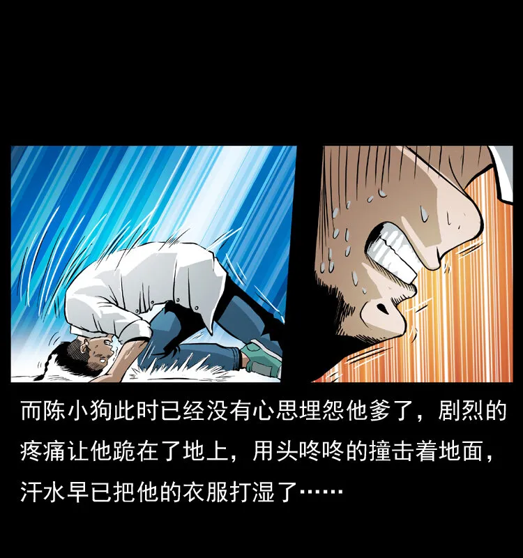 035 陈小狗出马 第27页