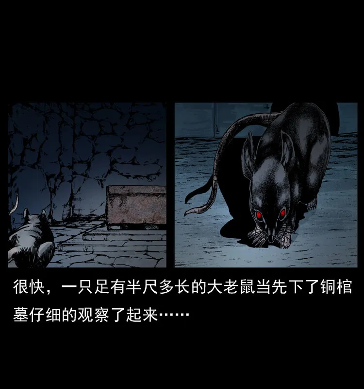 035 陈小狗出马 第47页