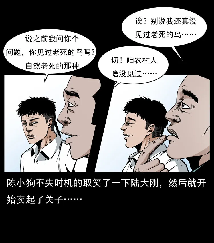 036 百雀丹（上） 第5页