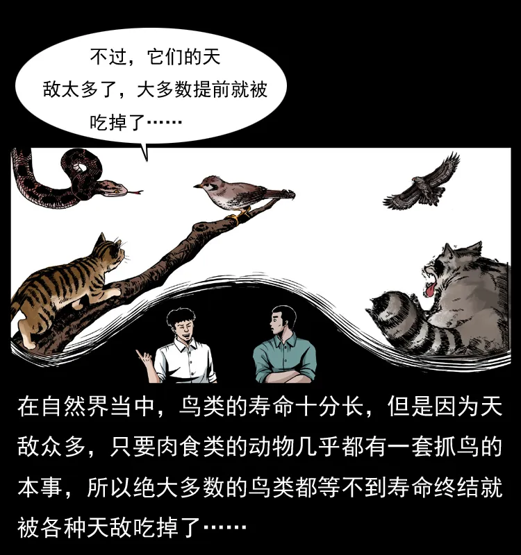 036 百雀丹（上） 第7页
