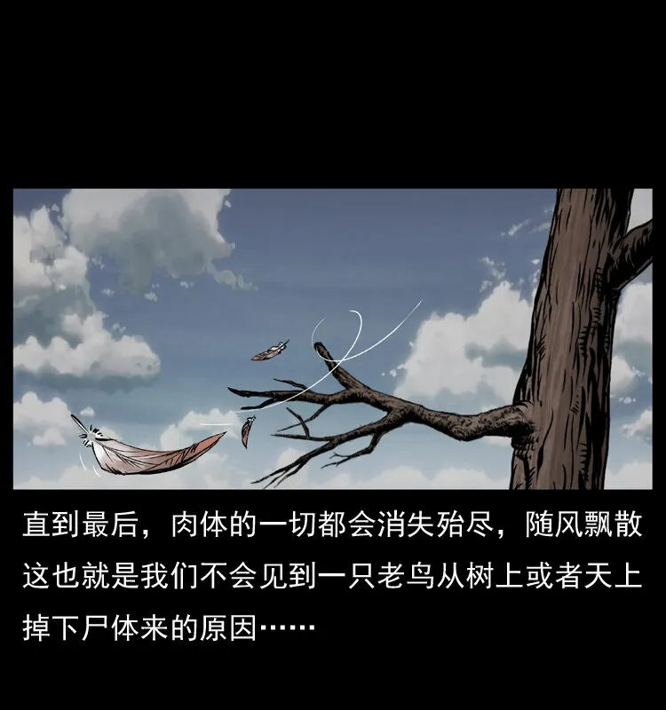 036 百雀丹（上） 第10页