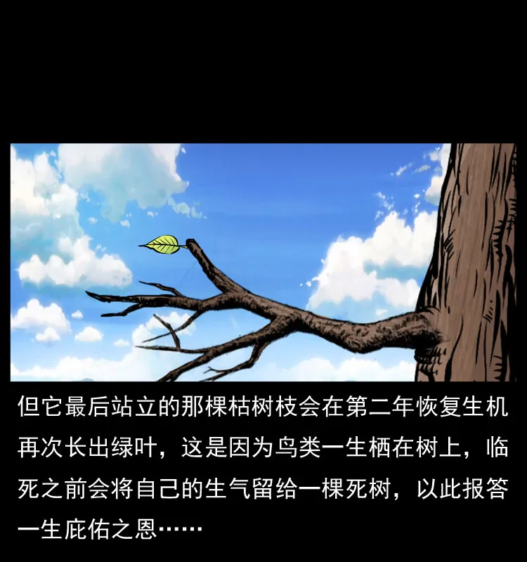 036 百雀丹（上） 第11页