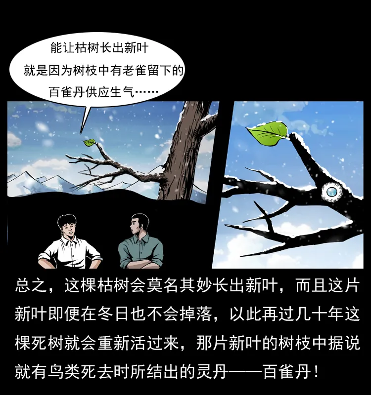 036 百雀丹（上） 第12页