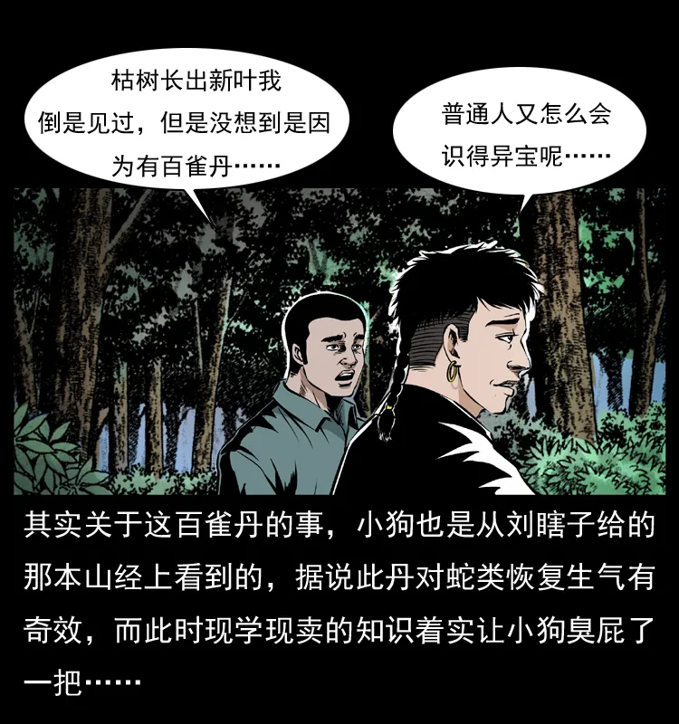 036 百雀丹（上） 第13页