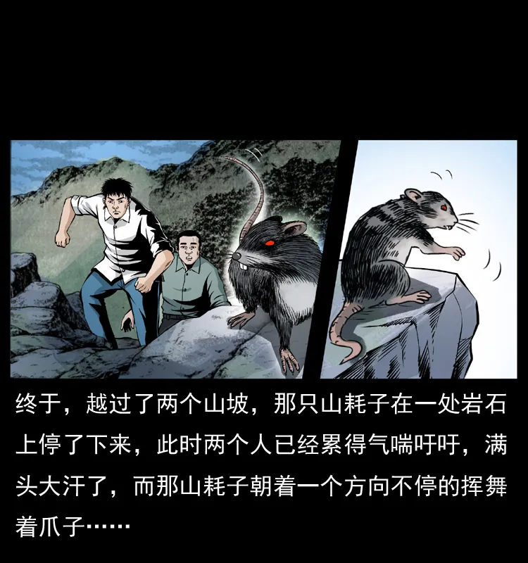036 百雀丹（上） 第31页