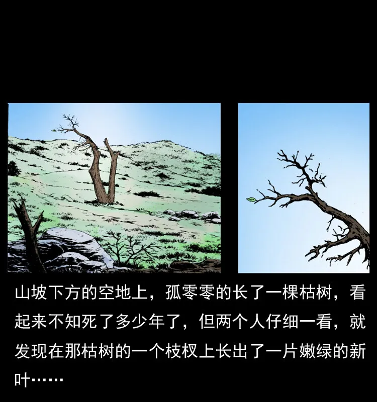 036 百雀丹（上） 第33页
