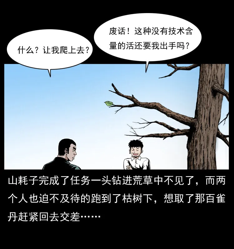 036 百雀丹（上） 第34页