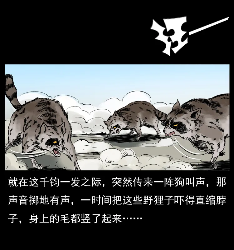 036 百雀丹（上） 第71页