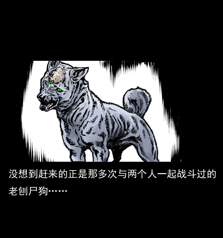 036 百雀丹（上） 第74页