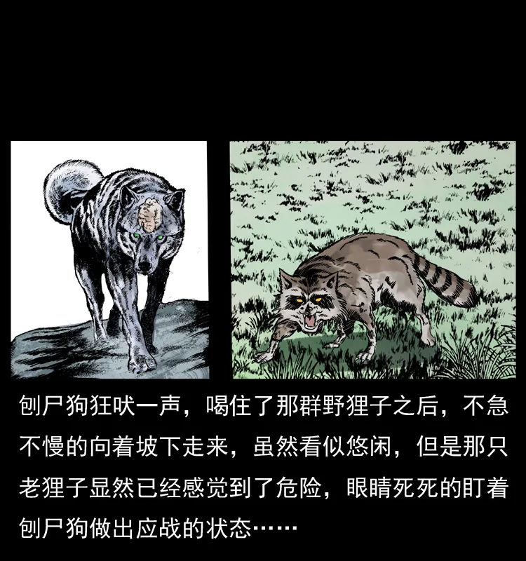 036 百雀丹（上） 第75页
