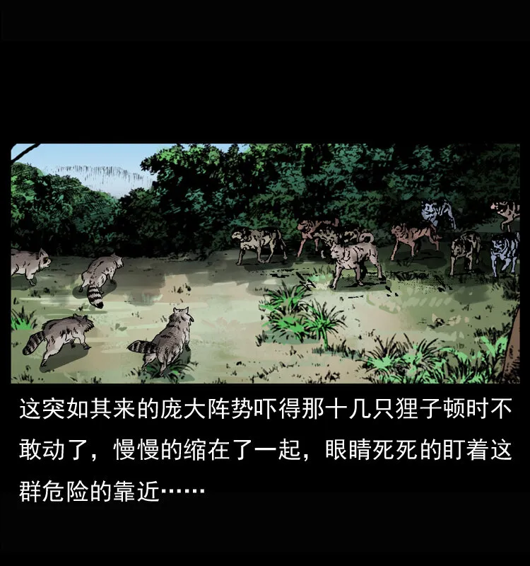 037 百雀丹（下） 第11页