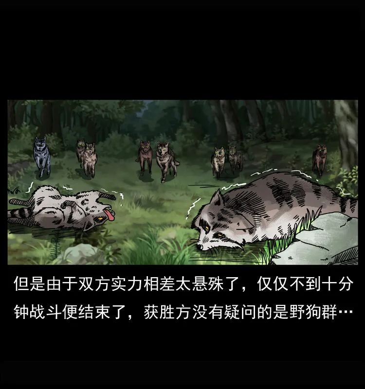 037 百雀丹（下） 第18页