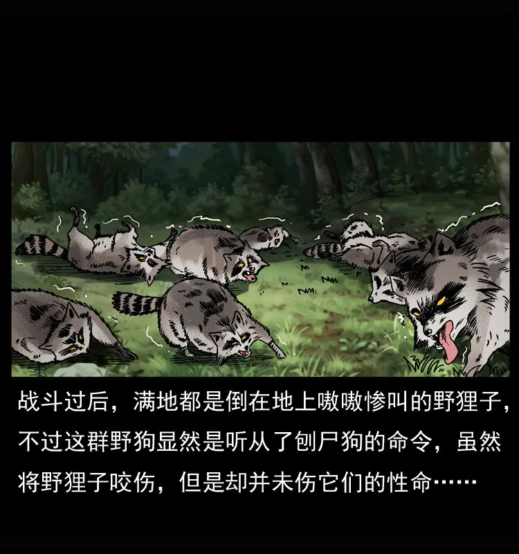 037 百雀丹（下） 第19页