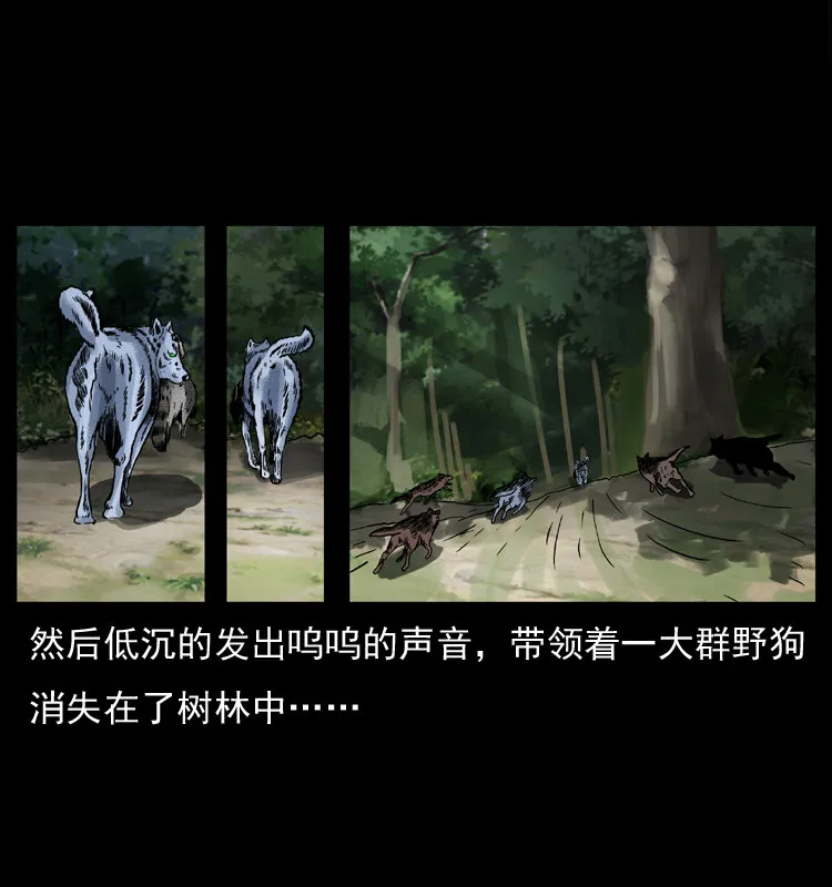 037 百雀丹（下） 第29页