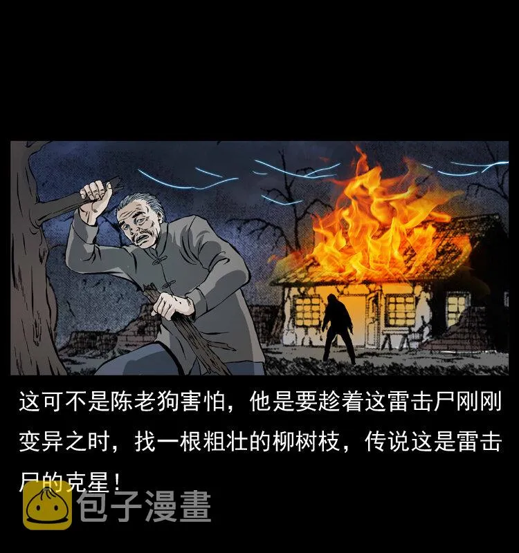 041 雷击尸2 第52页