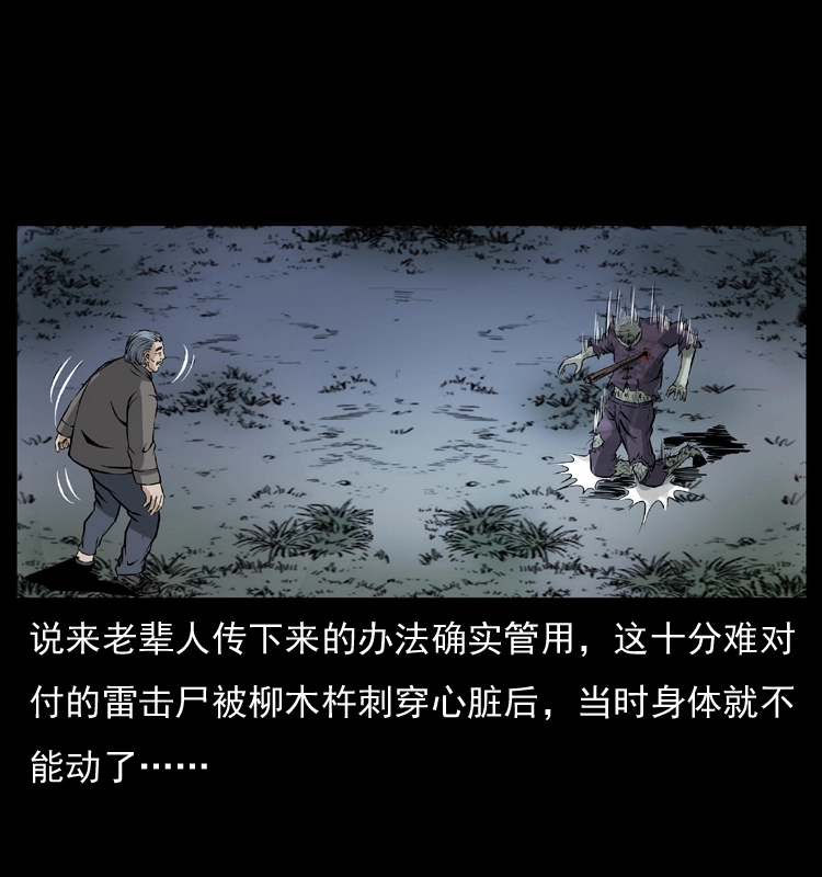 041 雷击尸2 第66页
