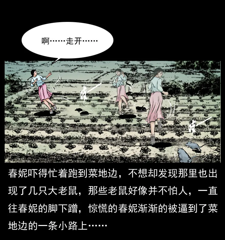 番外1 惊天大计划 第17页